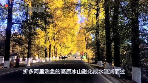 娱乐吃瓜君豪宅