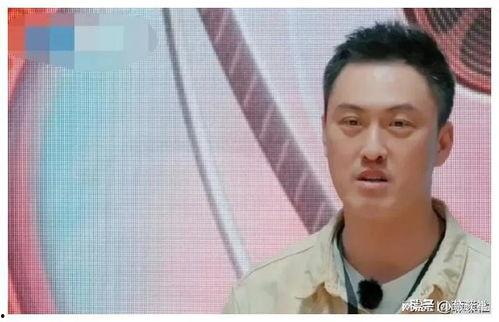 娱乐圈吃瓜爆料文章,明星隐私大揭秘，幕后故事惊心动魄！